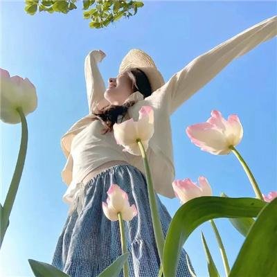 芫荽与欧芹